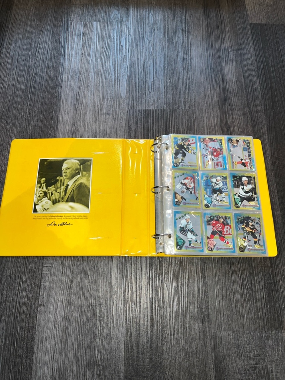 Hockey Cards Binder collection Upper Deck